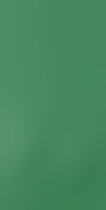 Due ovali in verde (preview)