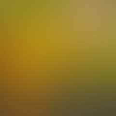 Composition (preview)
