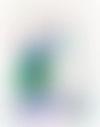 15.IX.'70 (preview)
