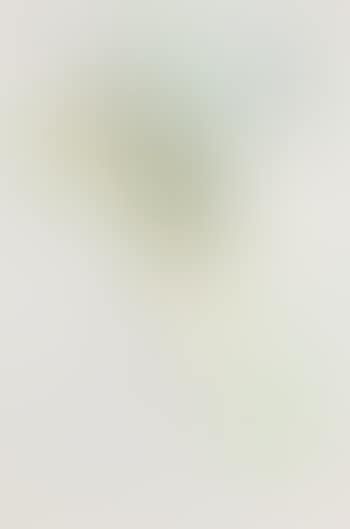 Ohne Titel (preview)