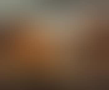 Paesaggio con animali (preview)
