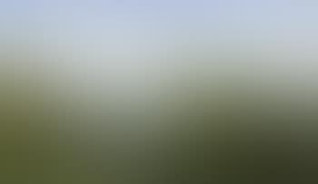 Ausblick auf eine sommerliche Landschaft am Meer (preview)