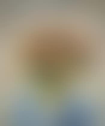 Nature morte aux oeillets (preview)