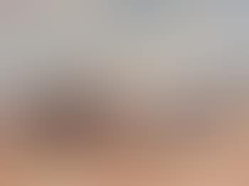 Attelage aux boeufs sur la plage devant Bidart (preview)