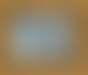 1979 (still life) (preview)