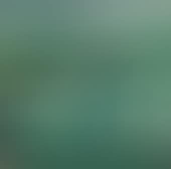 White Lotus Pond (preview)