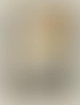 47 100 Examiner 2861 (preview)