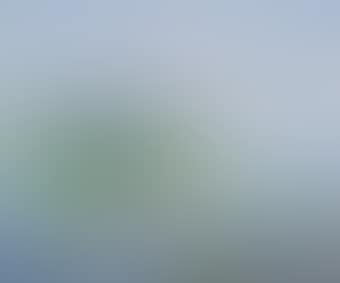 Water lilies with Loosdrecht in the distance (preview)