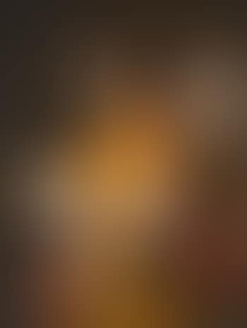 Judith with the head of Holofernes (preview)