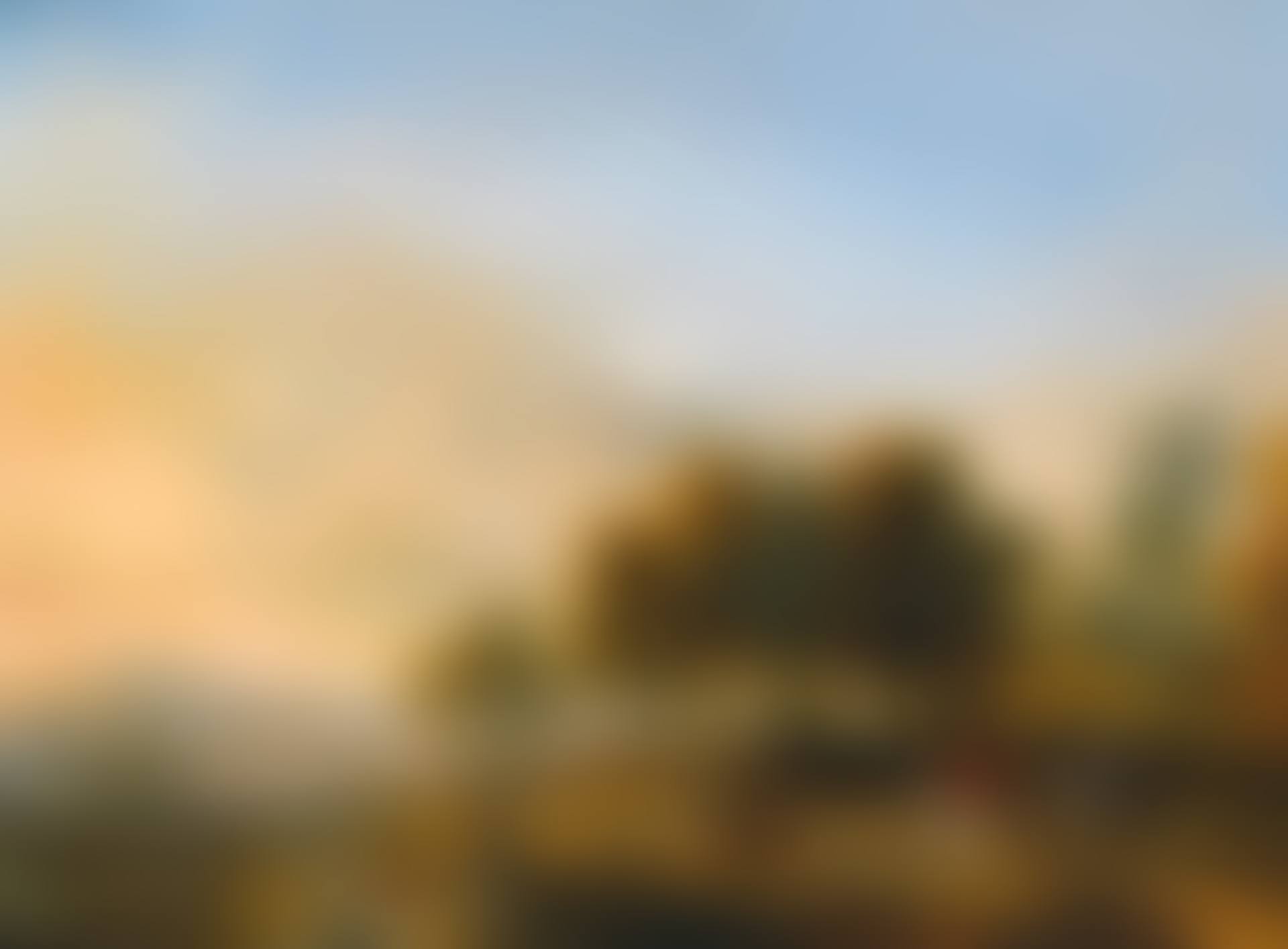 LANDSCAPE WITH A STAG HUNT (preview)