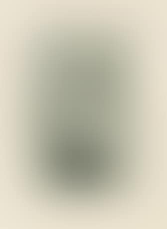 Sorrow (from Portfolio 'Das Graphische Werk Von Egon Schiele') (preview)