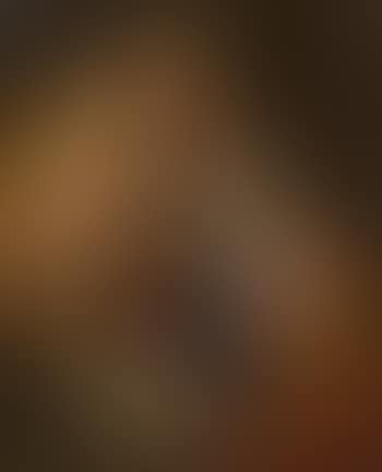 View of Ybbs (preview)