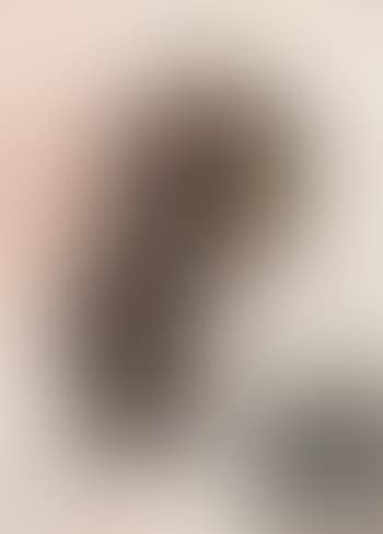 Folio (preview)
