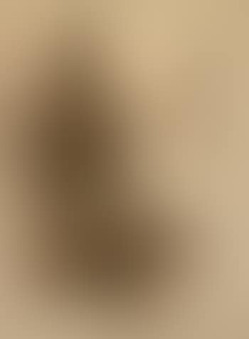 African Woman (preview)