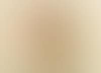 Rondine 31. Dez. 61 E (preview)