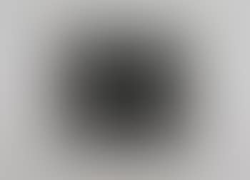 White chip (SFE.1E) (preview)