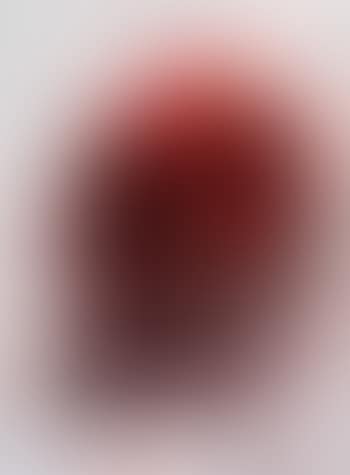 Vanitas Rot (preview)