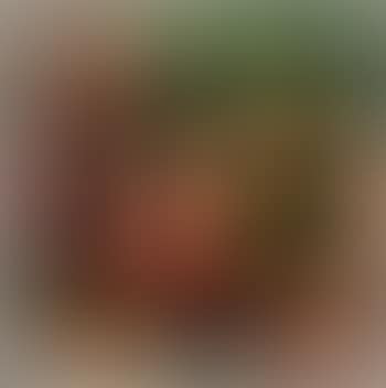 Pesche (preview)