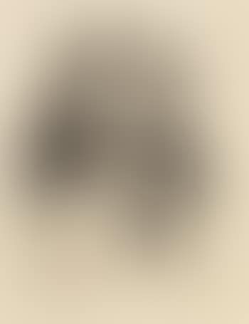 Frau mit Pelz (preview)