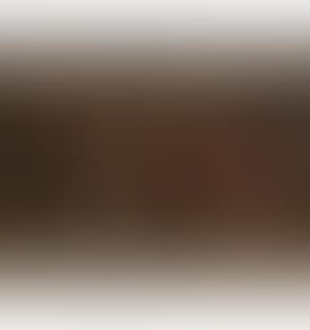 Die Funf Sinne (preview)