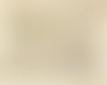 Untitled (a Pajarito) (preview)
