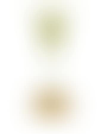 Flower form Vase (preview)