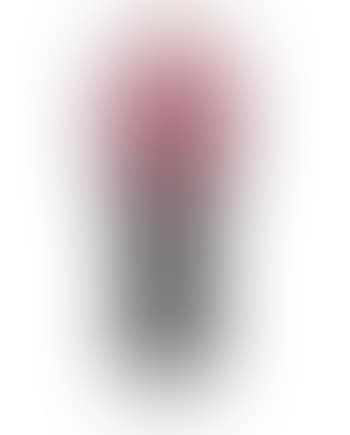 Magnolia Vase (preview)