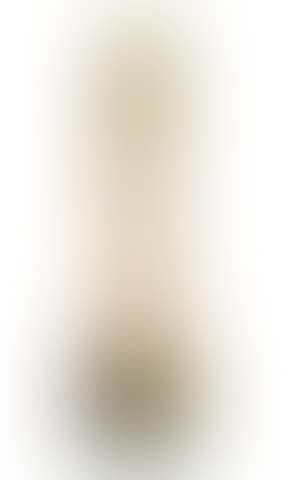 Bryony Vase (preview)