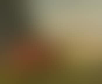 Nature Morte (preview)