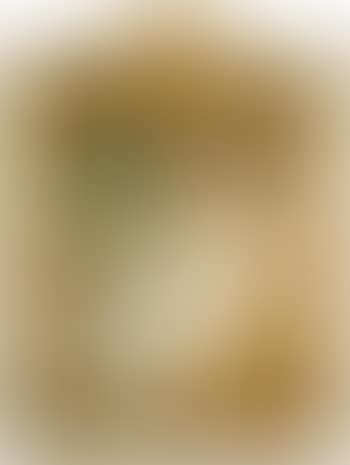 Portrait of Lady Hillingdon (preview)