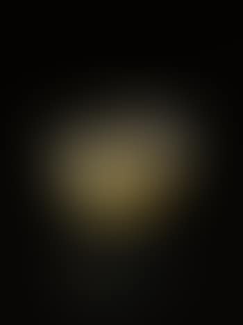 Bowl (preview)