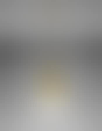 Ceiling Light (preview)