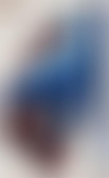 Phenomena stripe (preview)