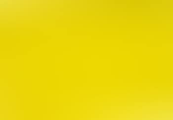 Two yellow ovals (preview)