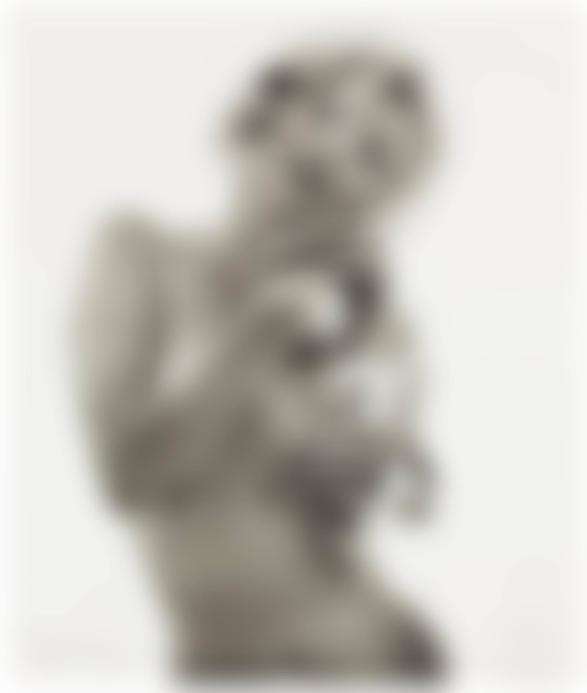 Marilyn with Two Roses (from The Last Sitting) (preview)
