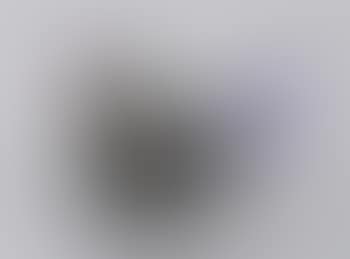 [Untitled] (preview)