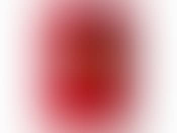 Tulip (Close Up 1) (preview)