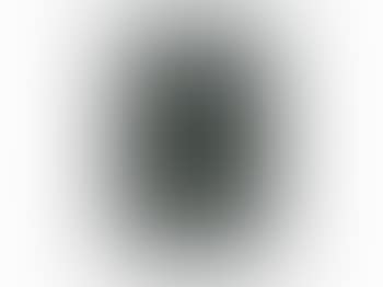 Linger (Portfolio) (preview)