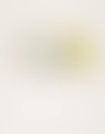Paroles peintes (preview)