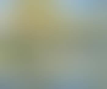 River Landscape (preview)