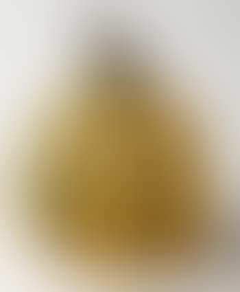 Pumpkin o naoshima (preview)