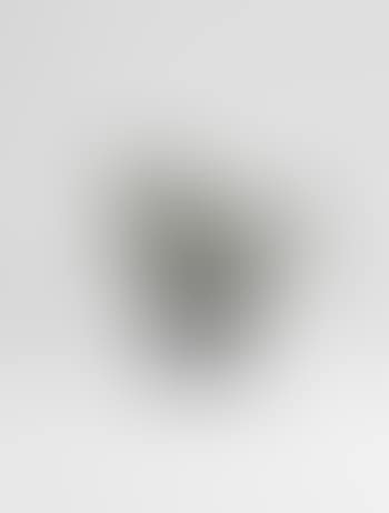 Vase Zoomorphe (preview)