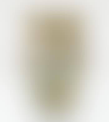 Vase (preview)