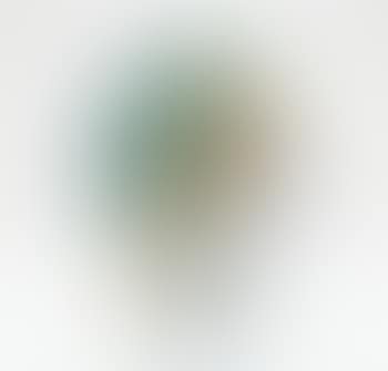 Vase (preview)