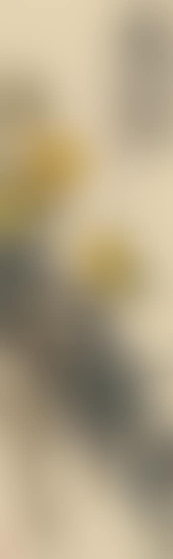 Loquat (preview)