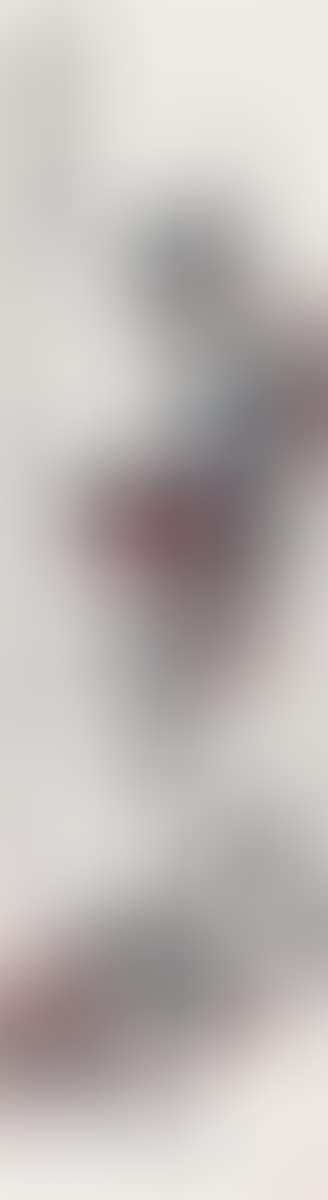 Camellia (preview)