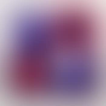 Novega (preview)
