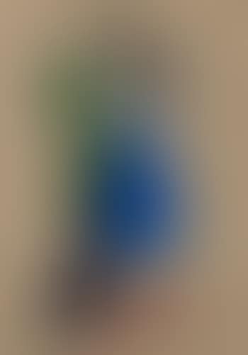 Il ballo (preview)