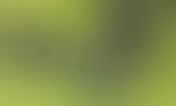Legends of the spring (preview)