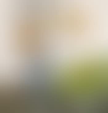 Still life (preview)